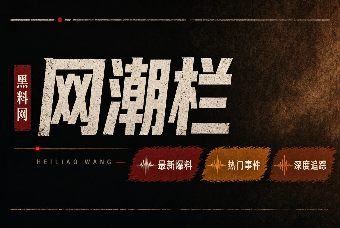 网浪栏数字传播与内容创作